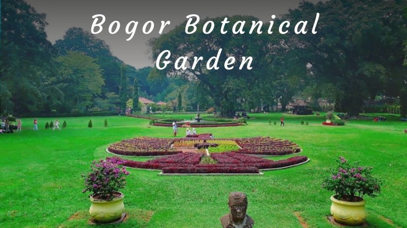 Hitory and review of Bogor Botanical Garden